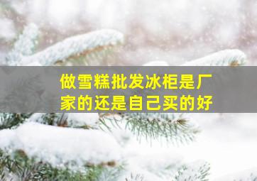 做雪糕批发冰柜是厂家的还是自己买的好