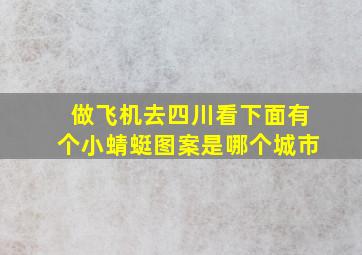 做飞机去四川看下面有个小蜻蜓图案是哪个城市