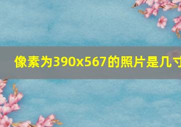 像素为390x567的照片是几寸