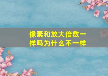 像素和放大倍数一样吗为什么不一样