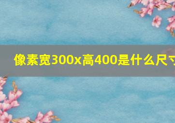 像素宽300x高400是什么尺寸