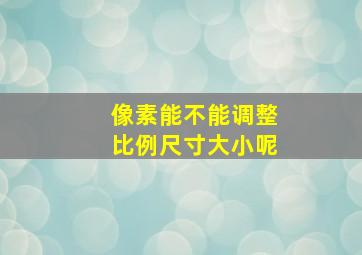 像素能不能调整比例尺寸大小呢