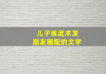 儿子练武术发朋友圈配的文字