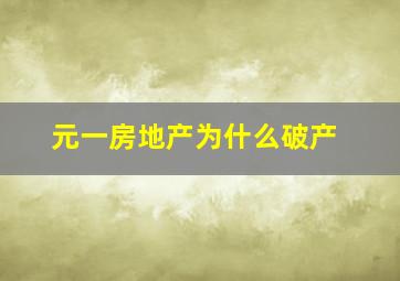 元一房地产为什么破产