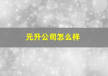 元升公司怎么样