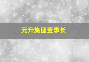 元升集团董事长