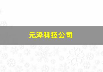 元泽科技公司