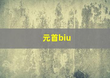 元首biu