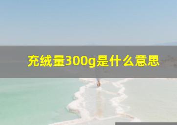 充绒量300g是什么意思