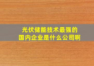 光伏储能技术最强的国内企业是什么公司啊