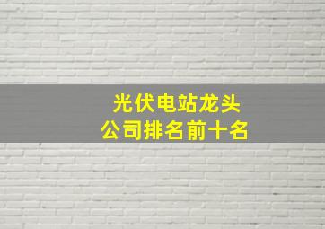 光伏电站龙头公司排名前十名