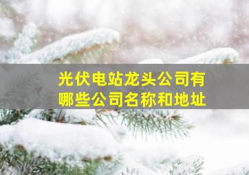 光伏电站龙头公司有哪些公司名称和地址