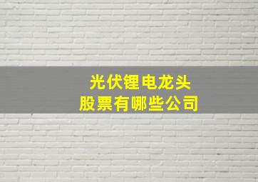 光伏锂电龙头股票有哪些公司