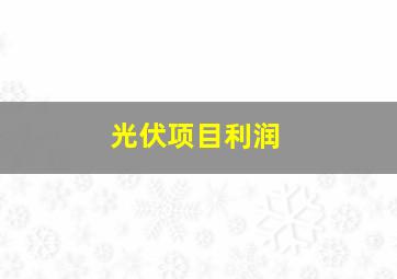 光伏项目利润