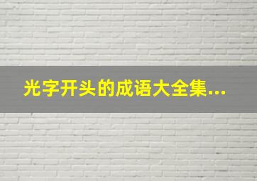 光字开头的成语大全集...