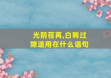 光阴荏苒,白驹过隙适用在什么语句