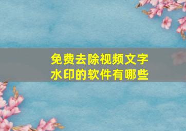 免费去除视频文字水印的软件有哪些