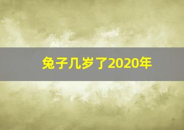 兔子几岁了2020年