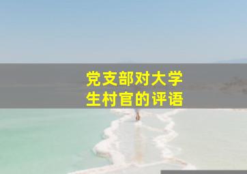 党支部对大学生村官的评语