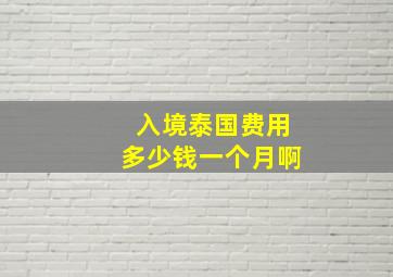 入境泰国费用多少钱一个月啊