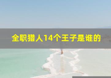 全职猎人14个王子是谁的