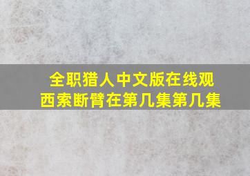 全职猎人中文版在线观西索断臂在第几集第几集