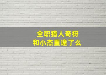 全职猎人奇犽和小杰重逢了么