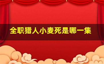 全职猎人小麦死是哪一集