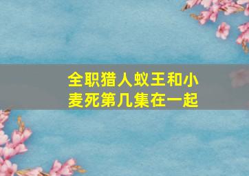 全职猎人蚁王和小麦死第几集在一起