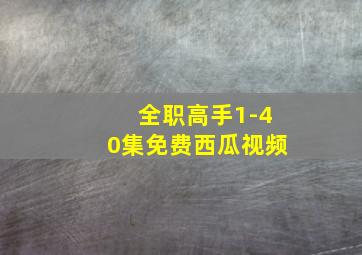 全职高手1-40集免费西瓜视频