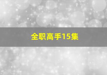 全职高手15集