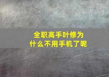 全职高手叶修为什么不用手机了呢