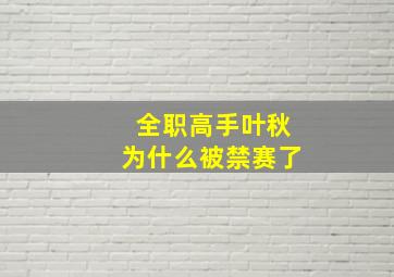 全职高手叶秋为什么被禁赛了