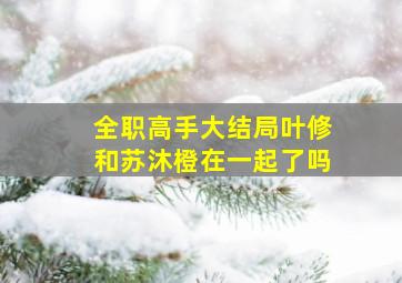 全职高手大结局叶修和苏沐橙在一起了吗