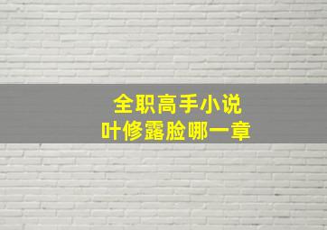 全职高手小说叶修露脸哪一章