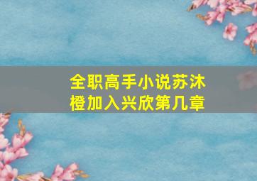 全职高手小说苏沐橙加入兴欣第几章