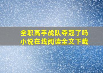 全职高手战队夺冠了吗小说在线阅读全文下载