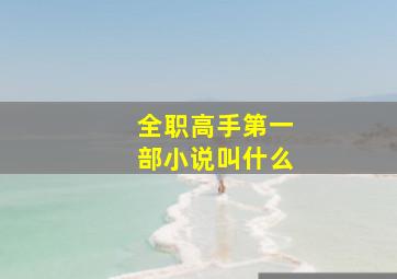 全职高手第一部小说叫什么