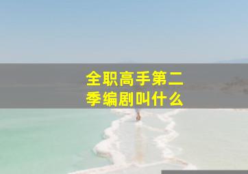 全职高手第二季编剧叫什么