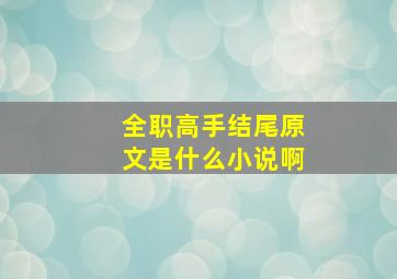 全职高手结尾原文是什么小说啊