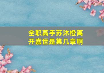 全职高手苏沐橙离开嘉世是第几章啊