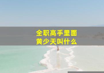 全职高手里面黄少天叫什么