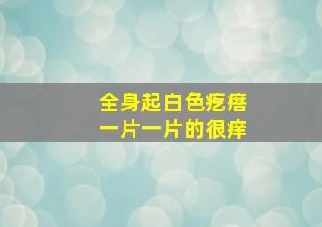 全身起白色疙瘩一片一片的很痒