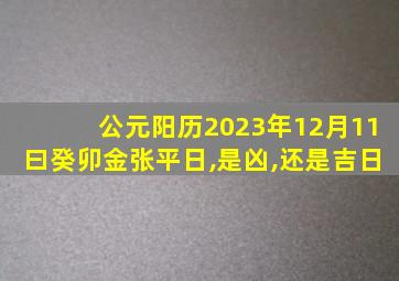 公元阳历2023年12月11曰癸卯金张平日,是凶,还是吉日