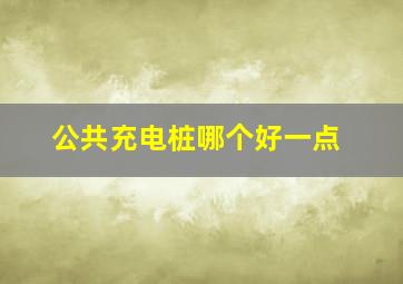 公共充电桩哪个好一点