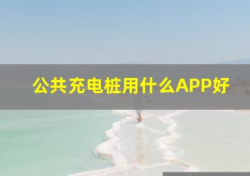 公共充电桩用什么APP好