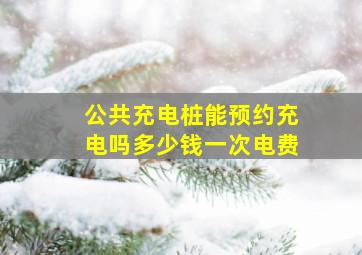 公共充电桩能预约充电吗多少钱一次电费