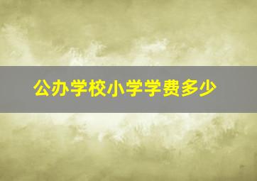 公办学校小学学费多少