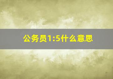 公务员1:5什么意思