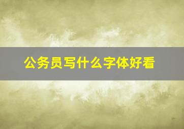 公务员写什么字体好看